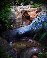 Rocks Rock Formation Deer Creek