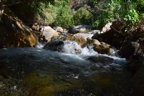 River Brook