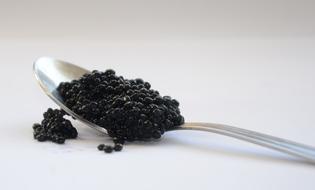 Black crispy caviar on spoon