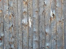 grey Wood Texture background