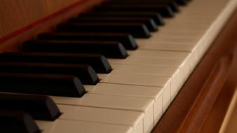 closeup view of Piano Instrument Keys