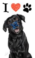 I love dog, poster with black labrador