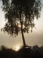Morning Sunrise Fog