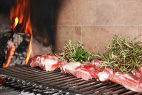 grilled meats with spices