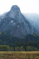 Yosemite Mist