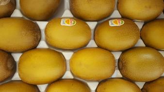 Gold Kiwi Fruit