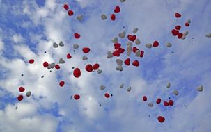 Wedding Balloon Celebration