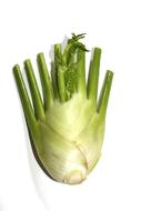 raw herbs root