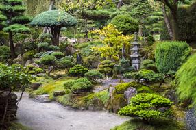 Japanese Garden