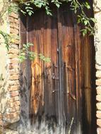 wooden old door in the fence