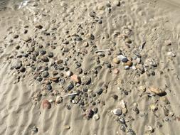 North Sea Sand Beach stones