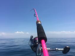 pink fishing rod with a sea backdrop