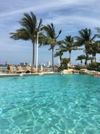 blue water in the pool under the palm trees
