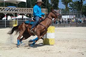 Equiblues Rodeo Barel Racing view