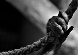 monochrome photo of a paw of a monkey holding a rope