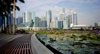 Singapore City street