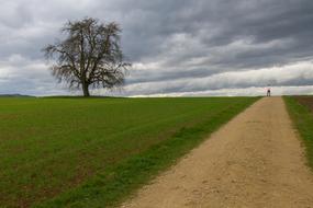Autumn Walk Lane Away