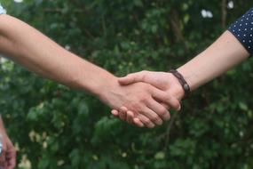 Handshake Person