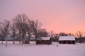 Barn Pink