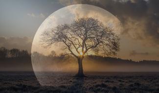 Moon Night Full
