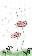 spring flower rain green grass