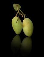 Mangoes Fresh