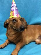 Party Day Of Birth