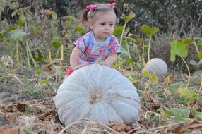 Baby Girl leaning on big grey pumpkin