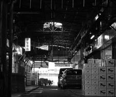 Yau Ma Tei Fruit Market Wholesale