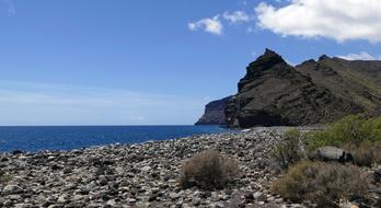 La Reptiles Canary Island