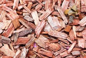 material Texture Wood