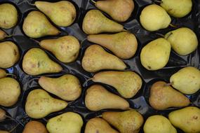 Pear Pears Fruit