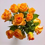 cozy orange bouquet of flowers