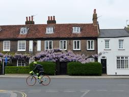 House Architecture and Bike