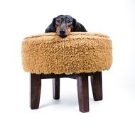 Dog soft chair