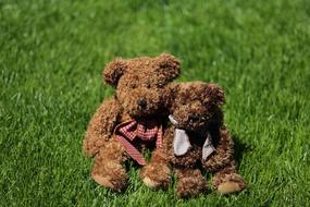 toy bears sit on the grass