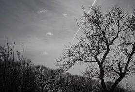 Black White view nature