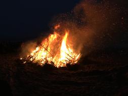 large burning fire in nature