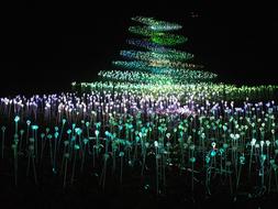 Lights Scenic Colour