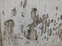 old dilapidated wall as texture