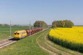 Train Bb 67200 Rapeseed