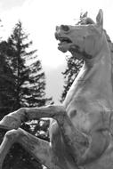Horse Statue Ireland Powers