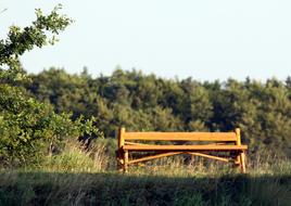 cozy bench by the field