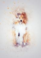 dog sitting shetland art abstract