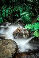 Longexposure Nature Water