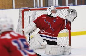 hockey sports games