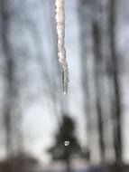 dangling icicle on the roof
