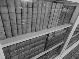 old dusty books on the shelves