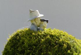 Binoculars had garden figure Bush