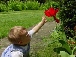 Baby and red flower